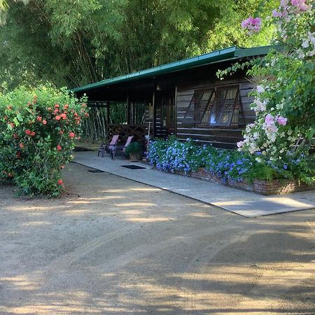 Bamboe Villa Meerzorg Екстериор снимка